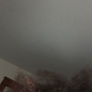 Meet your Posher, Donte